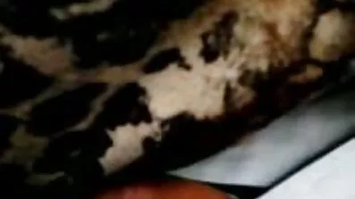 Ekskluzivni porno video u kojem je jebeno besplatni erotski filmovi Plavuša, slično Paris Hilton